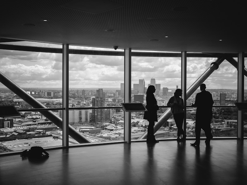 Professional business consultation